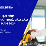 Thời hạn nộp tờ khai thuế, báo cáo thuế năm 2024